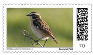 Briefmarke individuell, Muster, Vogel des Jahres 2023, Bild: Braunkehlchen auf einem Zweig