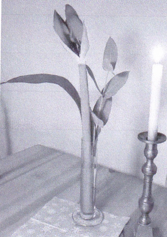 Vereinsnachricht Bad-Hersfeld und Rotenburg